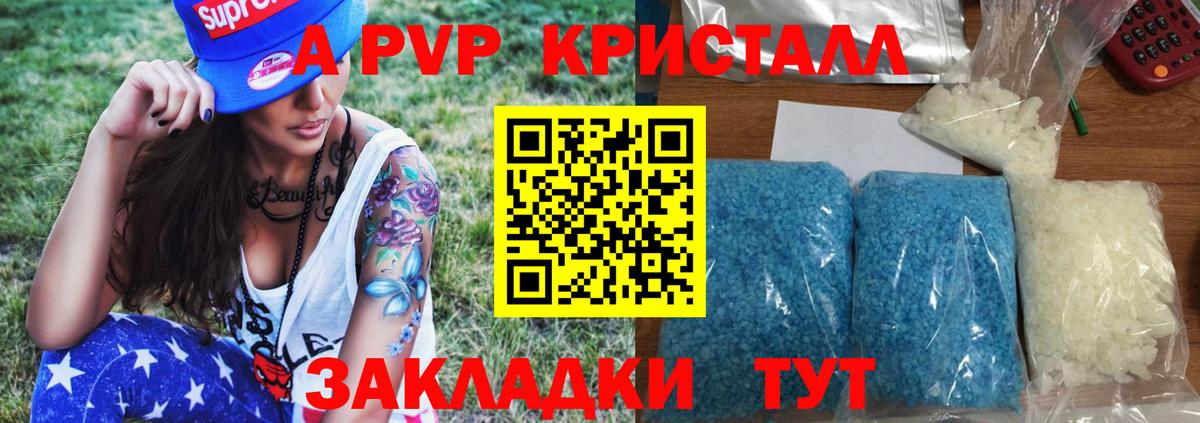 Alfa_PVP СК Липецк