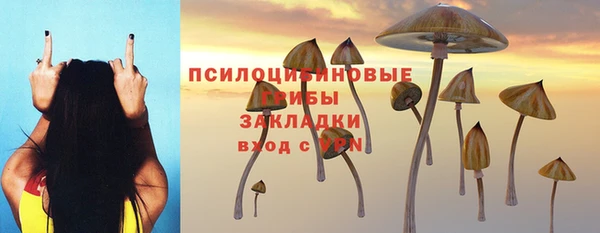 бошки Каменск-Шахтинский