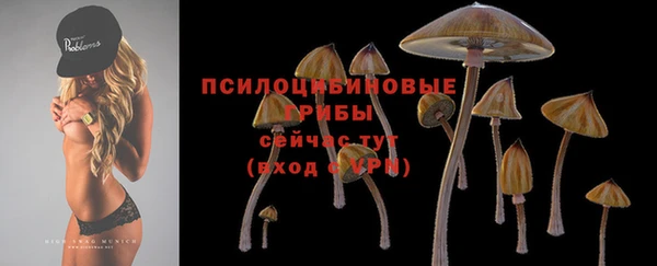 кокс Каменногорск