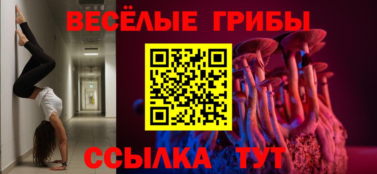 Псилоцибиновые грибы ЛСД Липецк
