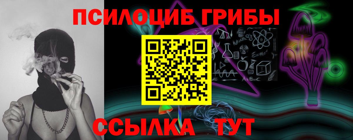 Псилоцибиновые грибы Cubensis Липецк