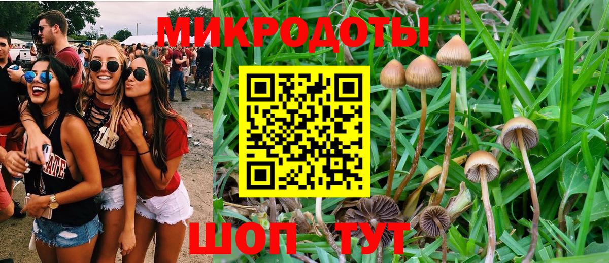 Галлюциногенные грибы GOLDEN TEACHER  Псилоцибиновые грибы мицелий  Липецк  Вход с VPN 